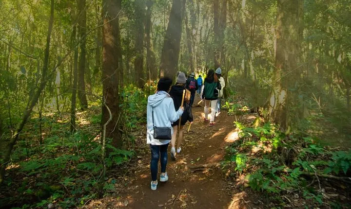 Doi Inthanon’s Pha Dok Siew Trekking