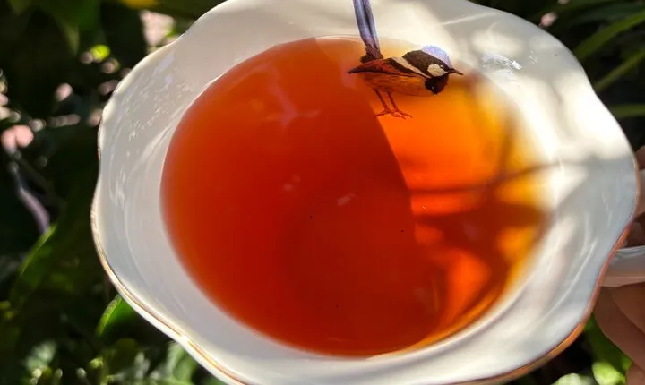 Ya'an Tea Horse Road Immersion | Tea Culture Lunch