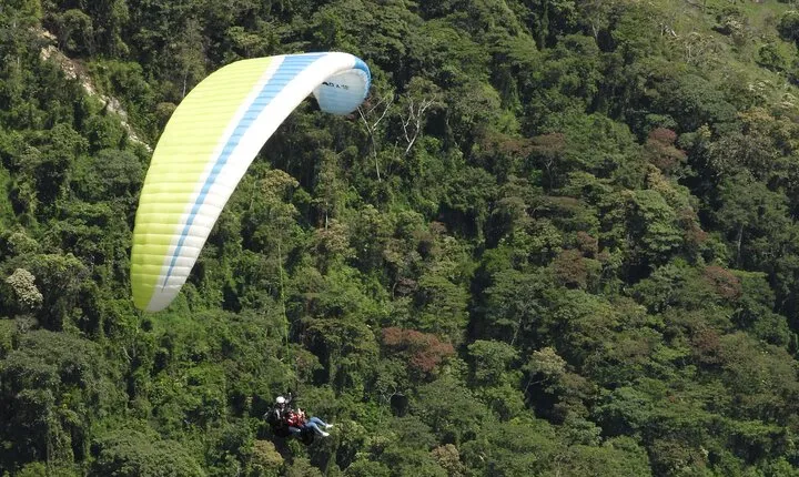 Paragliding Over Guacaica Jungle and Complete Coffee from Guatape