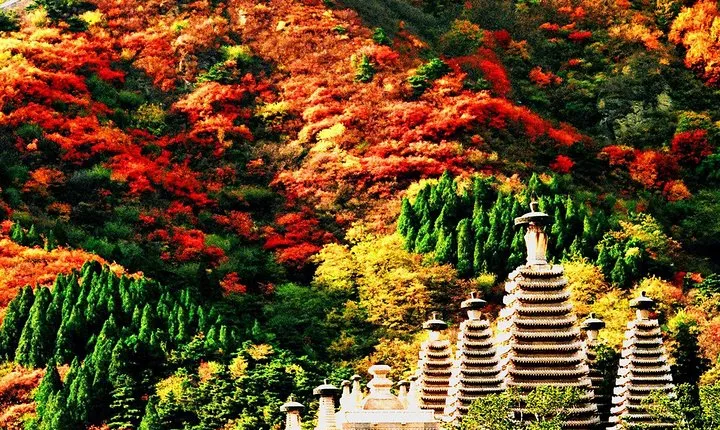 Beijing Private Tour to Fragrant Hill and Temple of Azure Clouds with Cable Car
