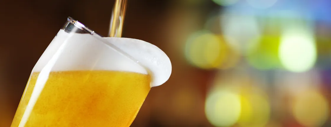 Guided tour of BVS brewery with tasting