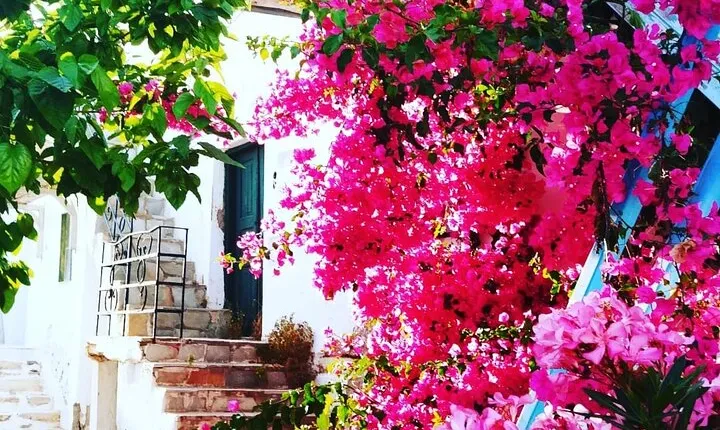 Private Tour on Antiparos