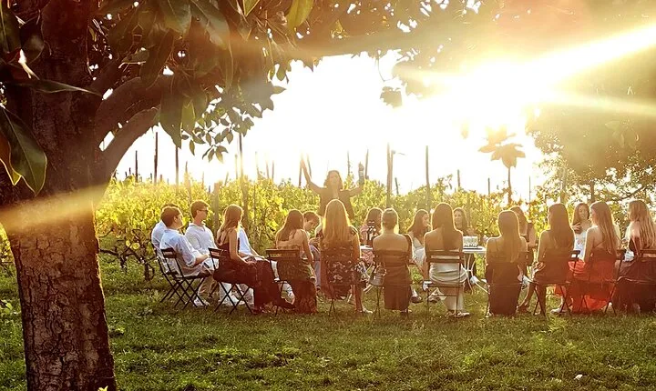 Small Group Minardi Winery Tour