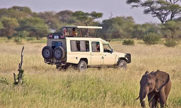 5-Day Tanzania National Park Tour from Arusha