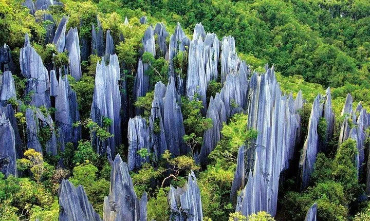 5-Day Private Yunnan Discovery from Chengdu: Kunming, Dali, Shaxi and Lijiang