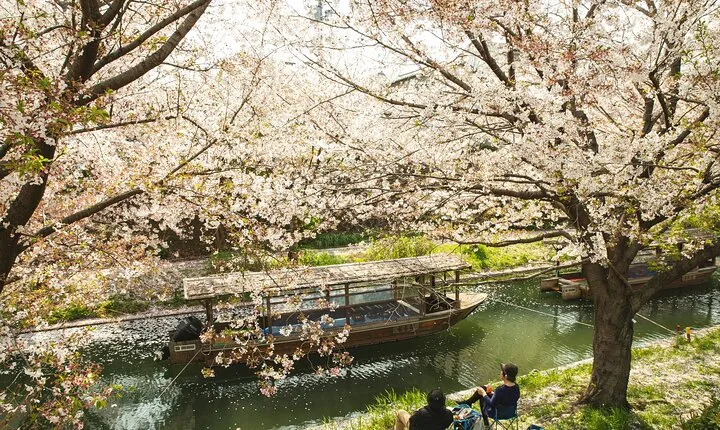Fushimi Kyoto Walking Tour with Sake Tasting and Canal Boat Ride