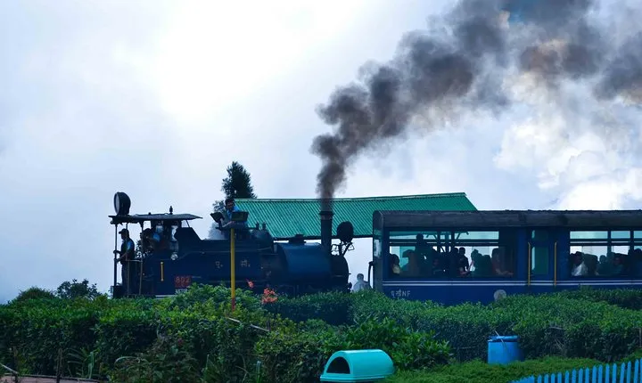 Day_Trippers (Darjeeling Full Day Tour).