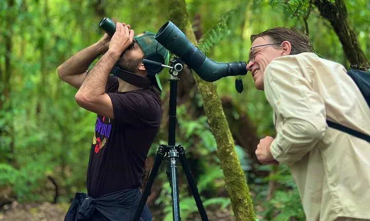 EXCLUSIVE Monteverde Nature Walk + Hummingbirds with FREE Binocs