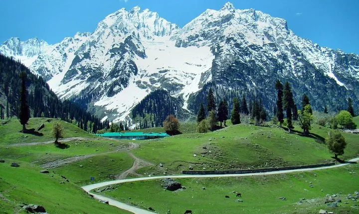 4 Star luxury Kashmir Package including Dinner
