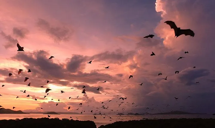 Sunset at Komodo Island
