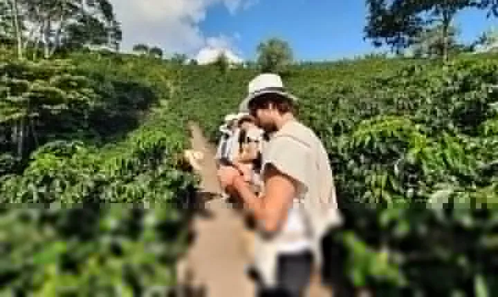 Cocora valley and coffee farms tour