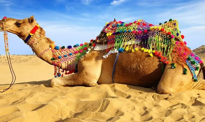 Private Transfers Pushkar To New Delhi Drop