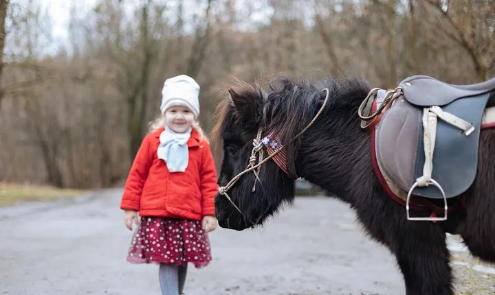 40 min of horse riding in Lviv city near the stable territory