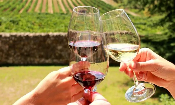 Stellenbosch, Franschhoek and Paarl: Full Day Wine Tour