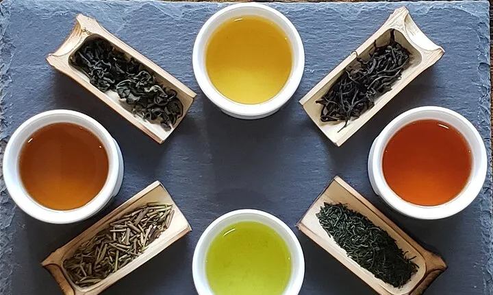 Japanese Tea Discovery Experience at famous Tea House in Kyoto