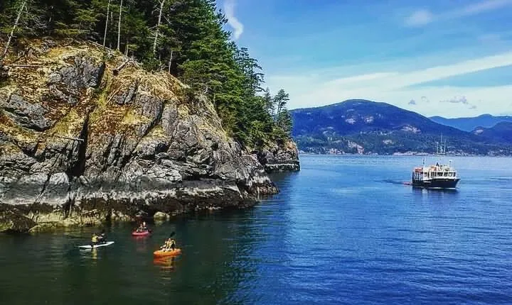 Morning Kayak & Seal Cruise