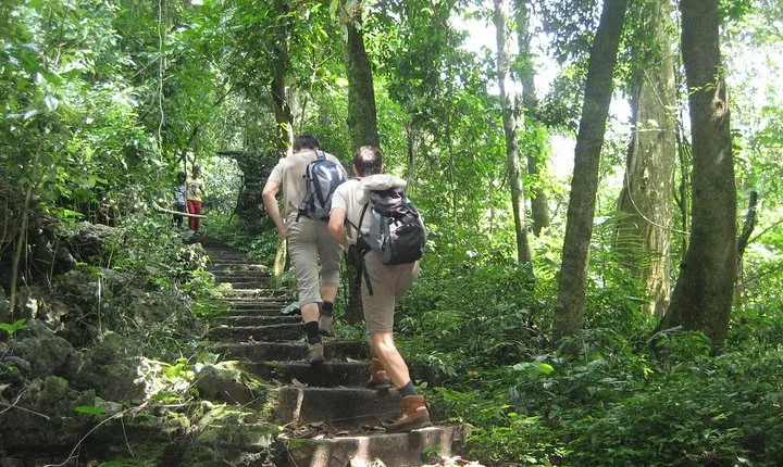 Private Day Tour: Cuc Phuong National Park from Hanoi