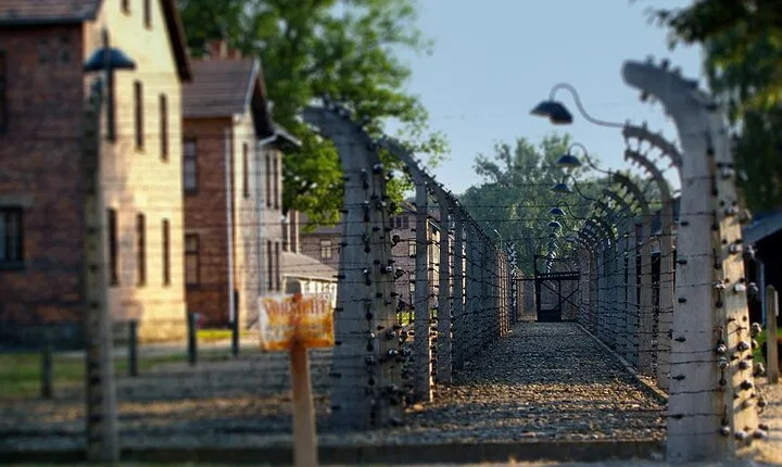 Auschwitz & Birkenau Live Guide Tour Entrance Ticket