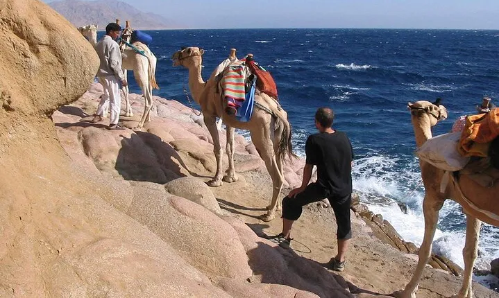  Camel Trek Desert and Beach Experience Private Tour in Dahab