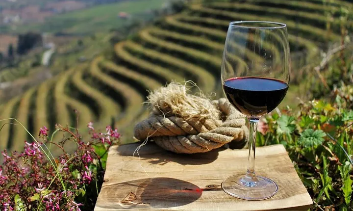 Exclusive Douro Valley: Visit 3 Wineries, 9 Wine Tastings & Lunch