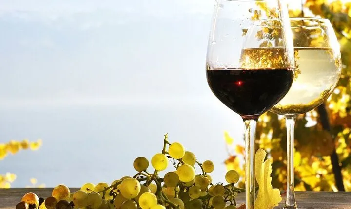 Nemea and Nafplio Wine Roads Private Day Tour