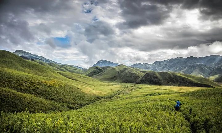 4 Day Tour at Nagaland Dzukou Valley