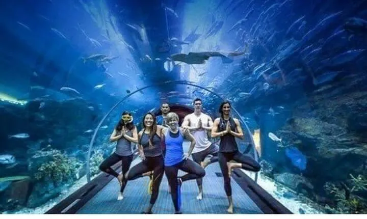 Dubai Mall Aquarium with Penguin Cove + Skyview Ticket