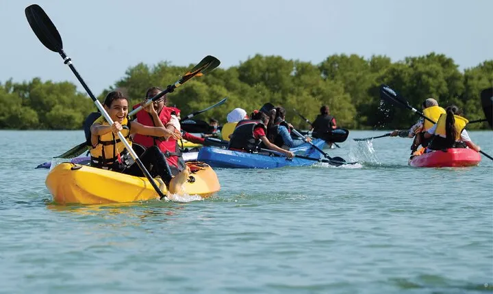 4 Hours Purple Island Mangroves Kayaking Adventure in Qatar