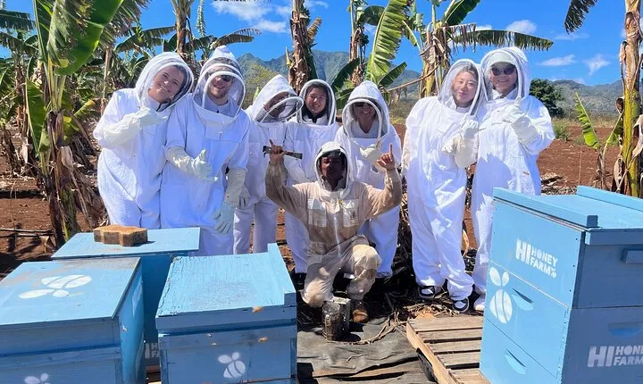 Bee Farm Ecotour and Honey Tasting in Waialua, North Shore Oahu