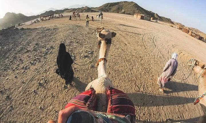 Camel Ride 2 Hours, Explore the beauty of Desert- Sharm El Sheikh