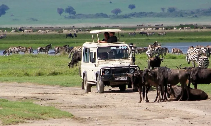 5 Days Tanzania Private Safari Tour