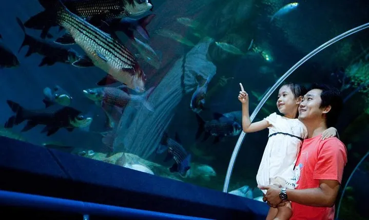 Pattaya Underwater World Admission Ticket with Return Transfer