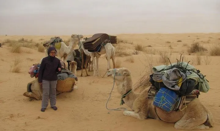 Camel ride and 1 night in the desert
