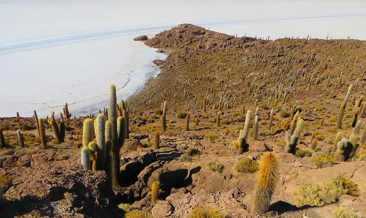 Salar De Uyuni (Classic 3 Days Trip) Spanish Guide
