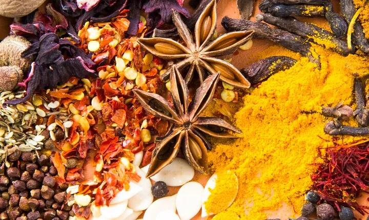 Spice Garden Visit and Cookery Demonstration from Pinnawala