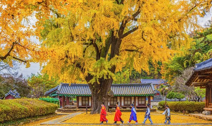 Jeonju Hanok Village Full-Day Tour: Jangtaesan Autumn Foliage