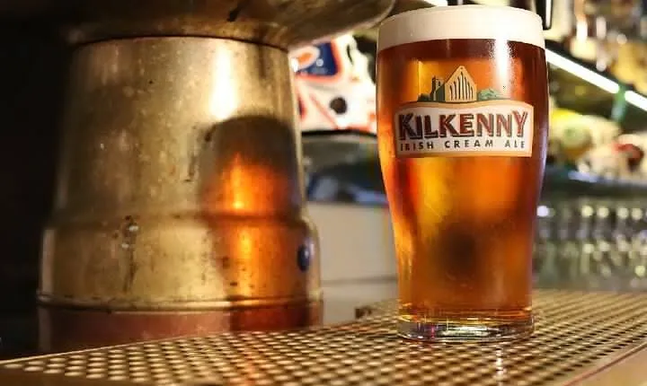 The True Dublin Experience: Private Irish Pub Culture Tour