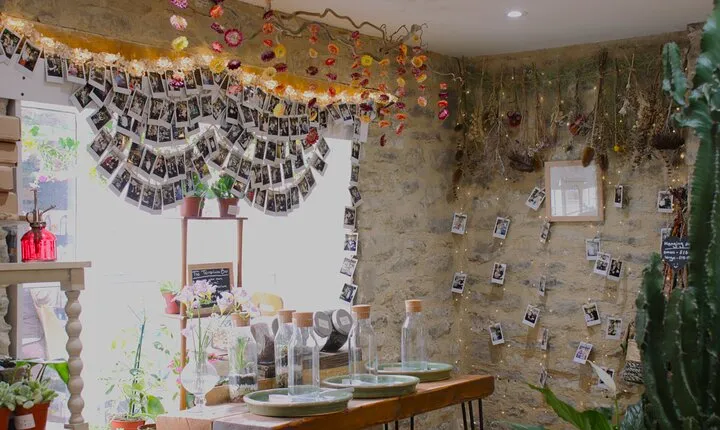 Terrarium Making Experience in Cirencester