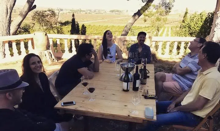 Singular Valencia Wine Tour Utiel Requena Wineries