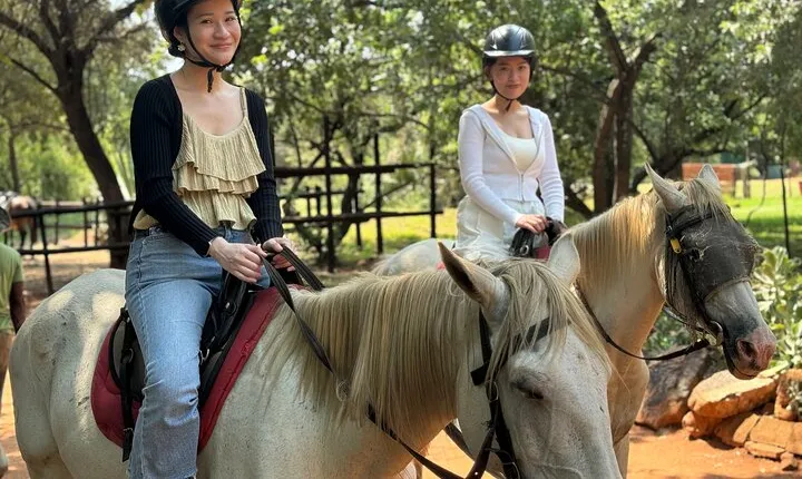 Horseback Safari & Cable Car Ride from Johannesburg