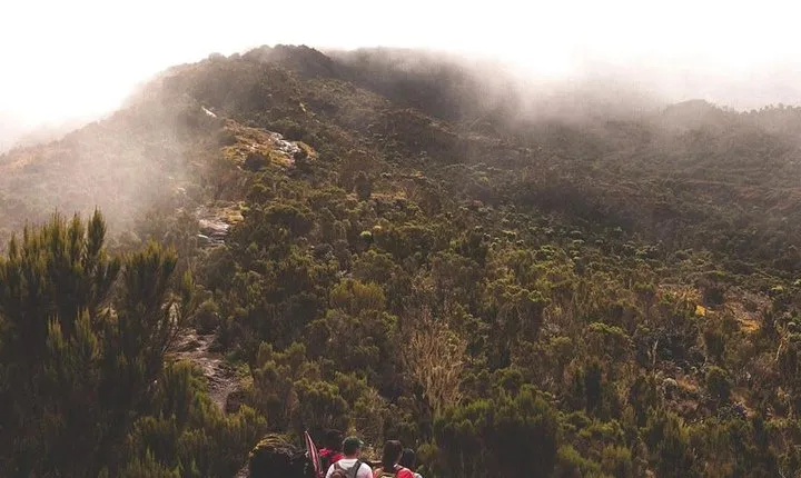 7 Days Kilimanjaro Lemosho route details