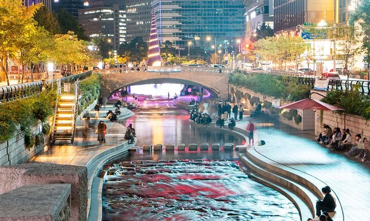 Cheonggyecheon Night Private Tour