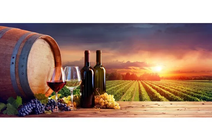 Chianti Wine Tour from Florence to San Gimignano with 2 Wineries