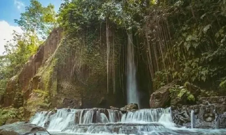  Private Tour to Sumampan Waterfall, Monkey forest, Rice terraces and Swing