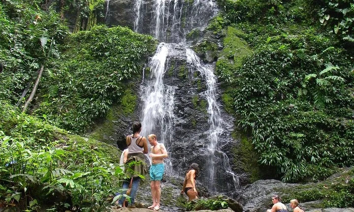 Full-Day Brownsberg Nature Park Tour