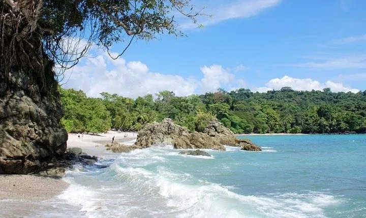 Manuel Antonio National Park one day tour from San Jose