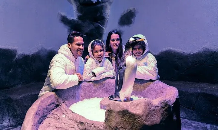Dubai Aquarium & Underwater Zoo Tickets with Penguin Cove Access