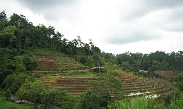 Chiang Mai Private Full Day Trekking