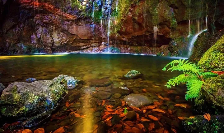 "25 Fountains" Walk / Lost In The Beautiful Forest