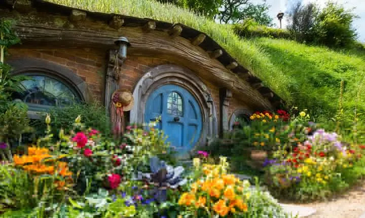 Auckland to Rotorua via Hobbiton Movie Set One-Way Private Tour